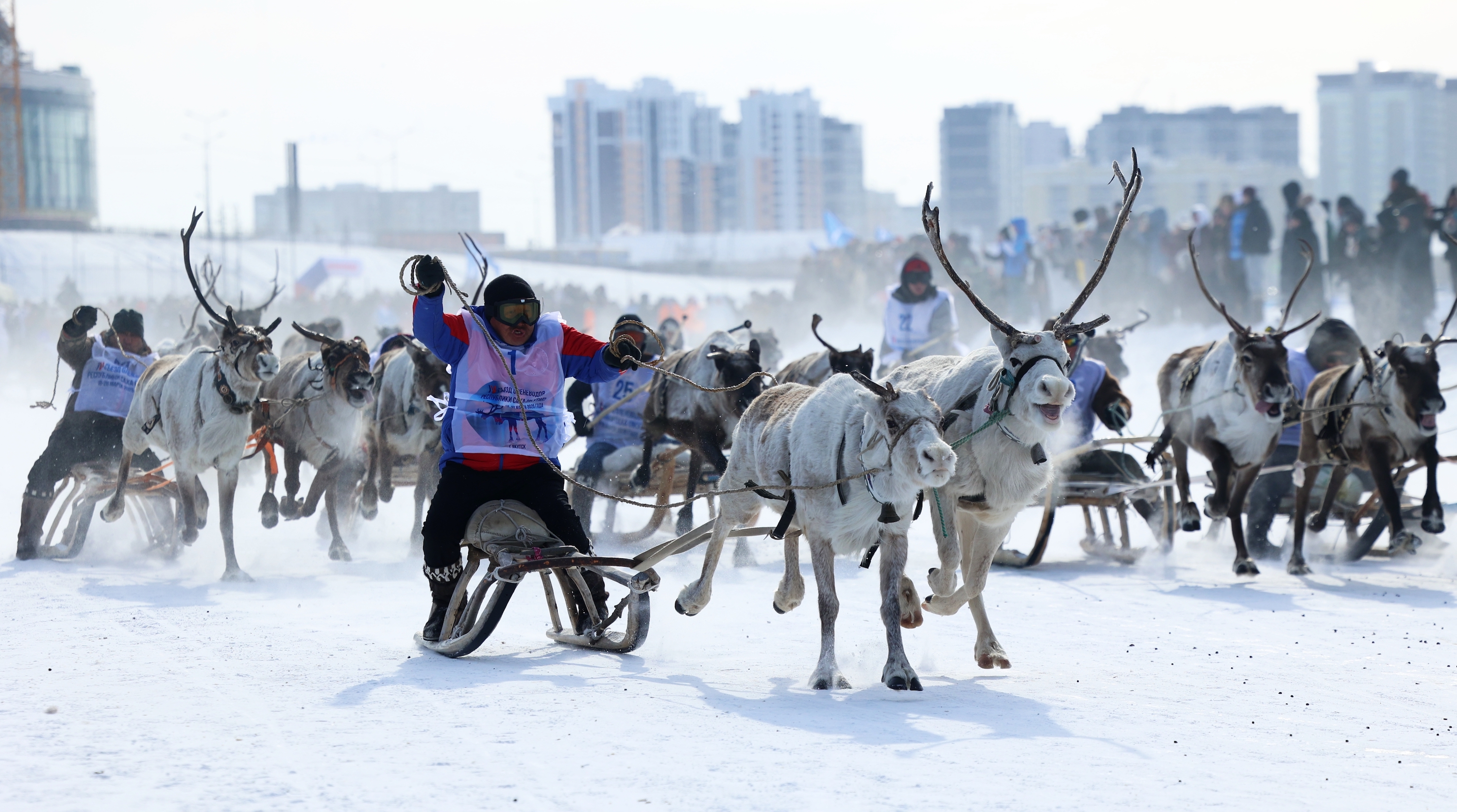 汉特-曼西斯克市驯鹿雪橇竞速赛