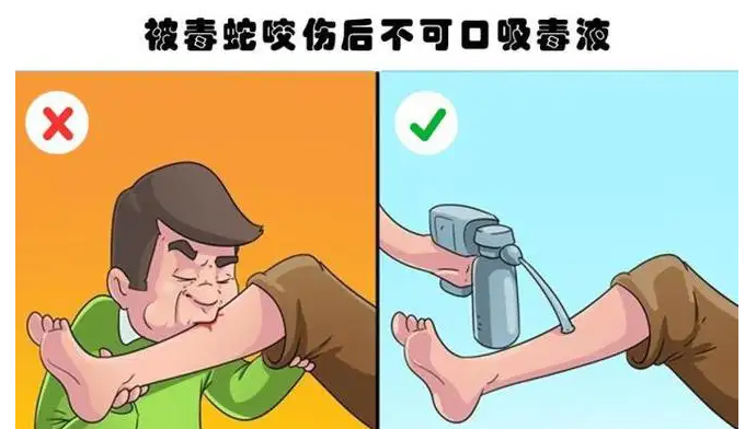 近两米长副驾传来异响杭州男子一摸吓掉魂最近无孔不入