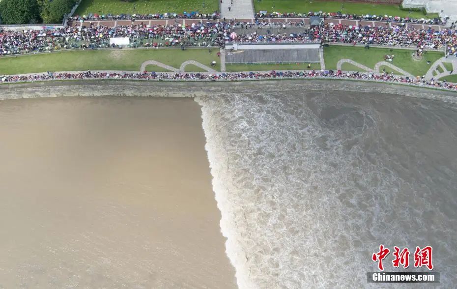 资料图：游客观看钱塘江大潮。王刚 摄