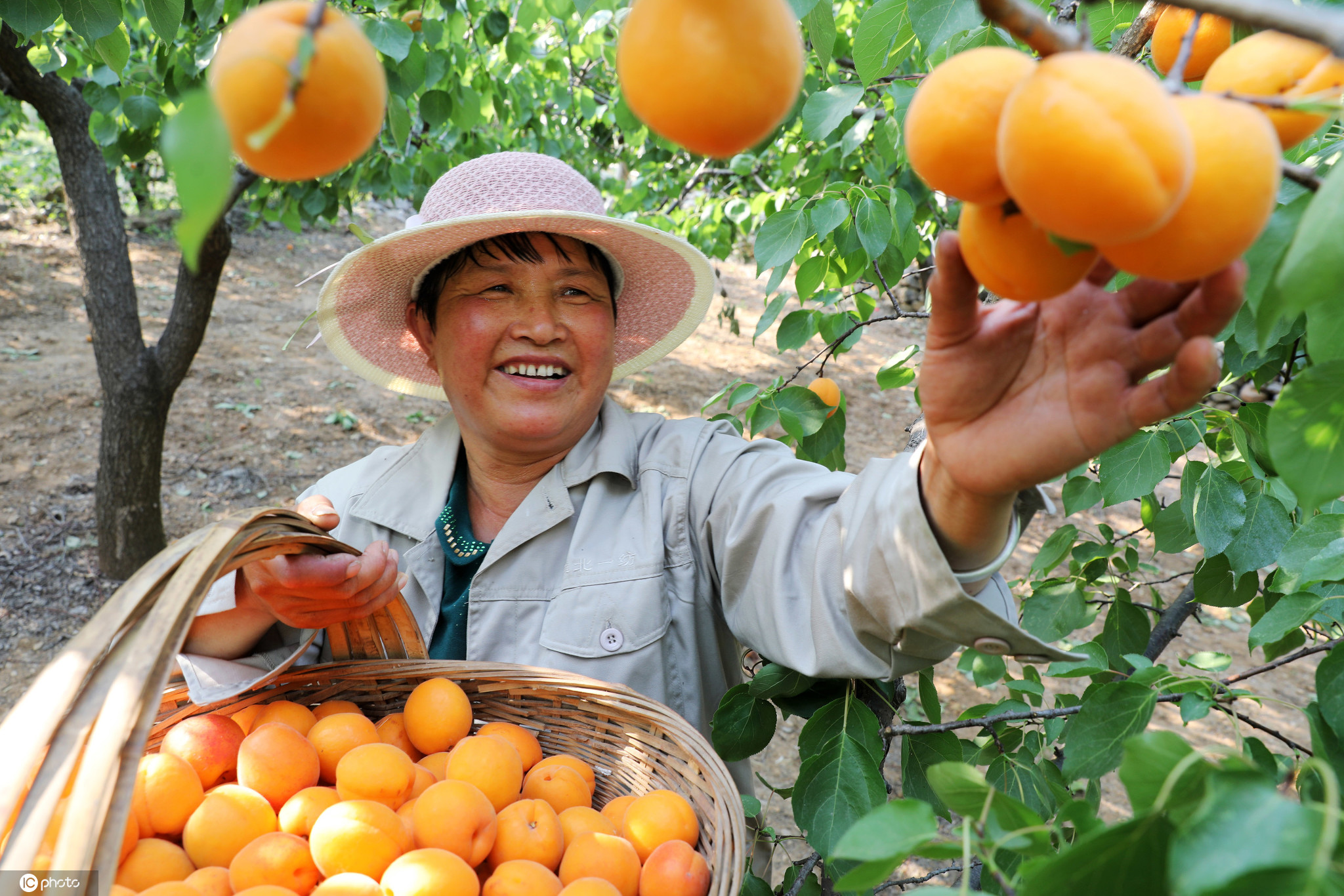 世界粮食日在即02看我国粮食连年丰收农民笑开颜