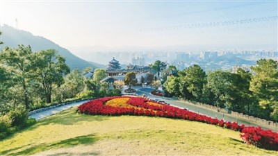 俯瞰梅州城   刘发为/图