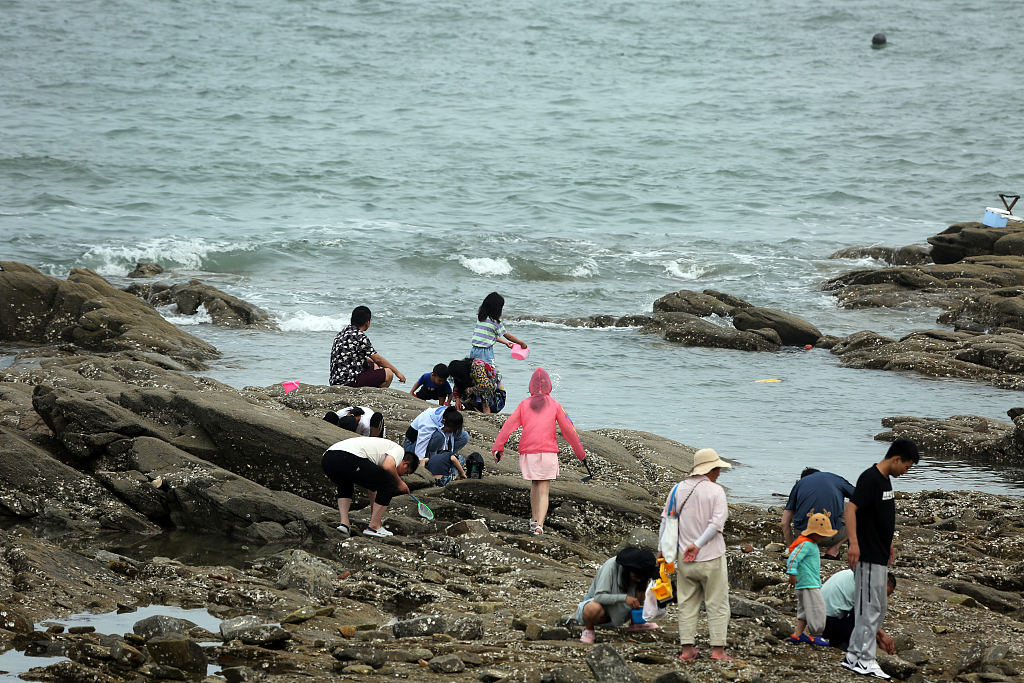在山海天旅游度假区的任家台海洋公园,游客趁着落潮,纷纷前来赶海拾贝