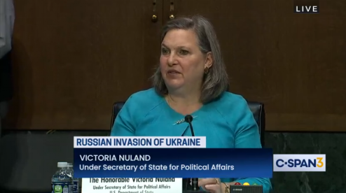 纽兰在参议院外交关系委员会就俄乌局势作证 图自C-SPAN直播
