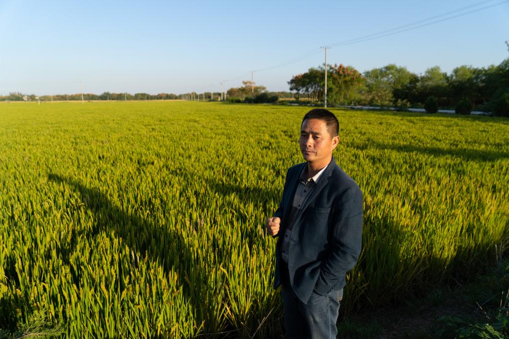 芜湖市繁昌区平铺镇种粮大户曹晶晶正在介绍无人农场运行情况。 新华社记者 赵金正 摄