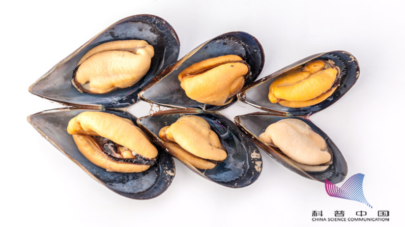 高温,家中普通的加热方式并不能降解毒素;就算是吃了已经烹调过的青口