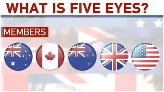 补壹刀五眼联盟刚开的这个会让我们后背发凉