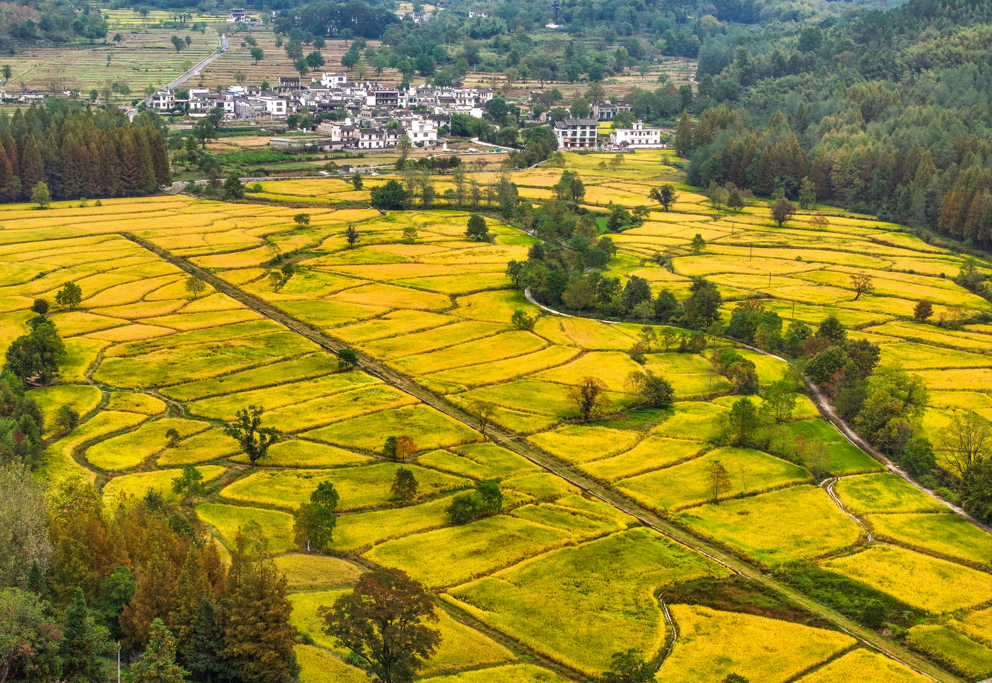 安徽黟县:秋意渐浓美乡村