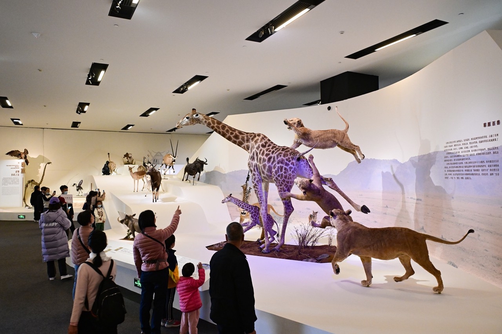 中国国家博物馆举办首个自然生态类展览