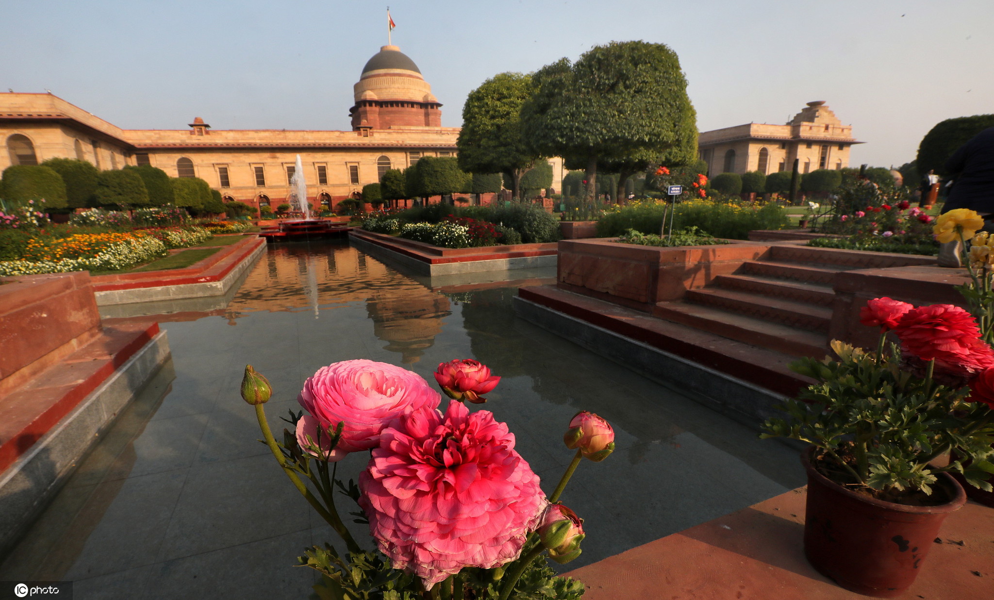 印度总统府莫卧儿花园对公众开放蜂飞蝶舞百花争艳美不胜收