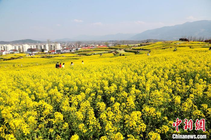 陕西汉中百万亩油菜花盛开风景如画