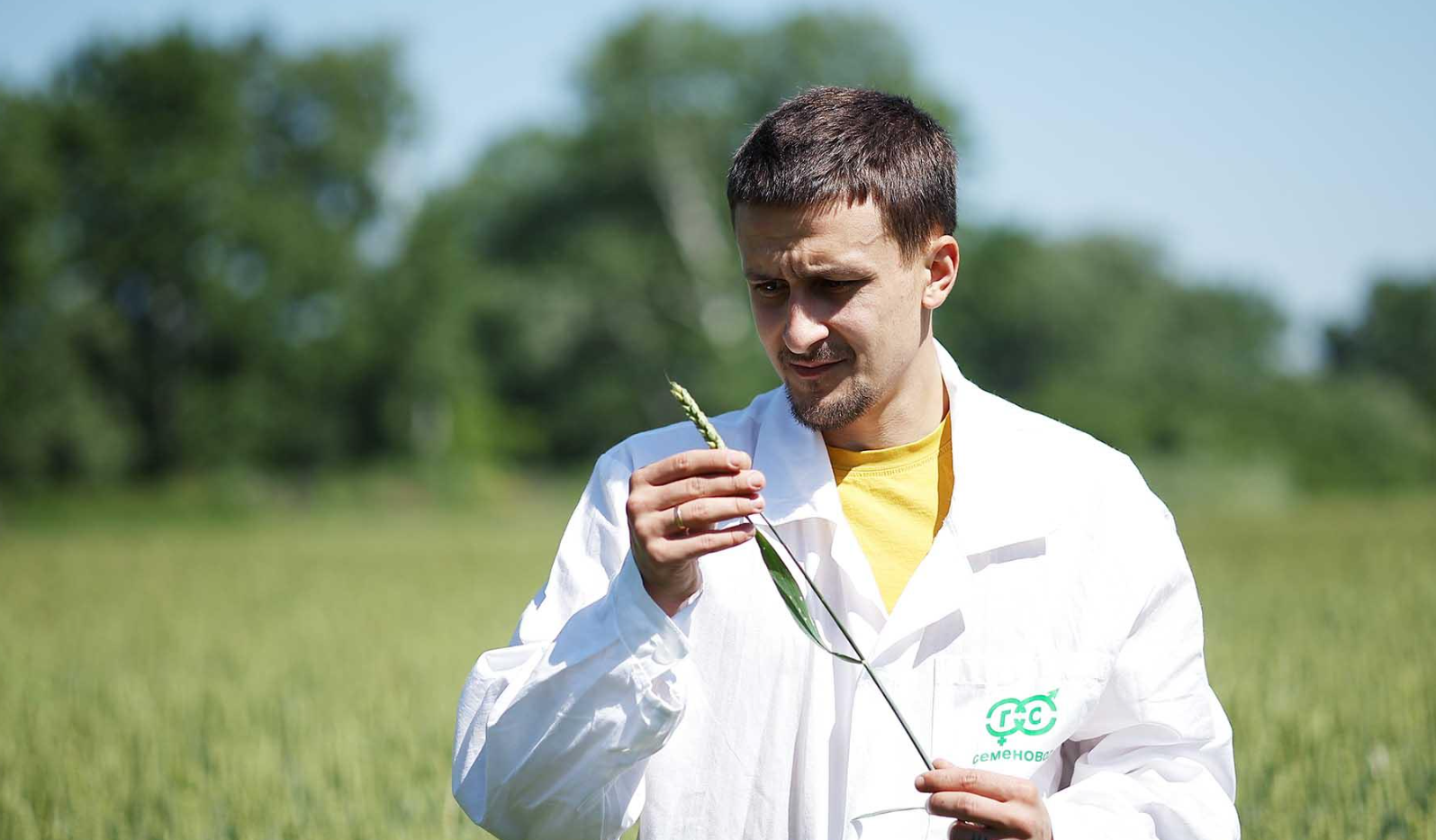 克拉斯诺达尔边疆区的克雷姆斯克市，“加夫里什”种子育种中心的员工正在一片田地里评估小麦幼苗。