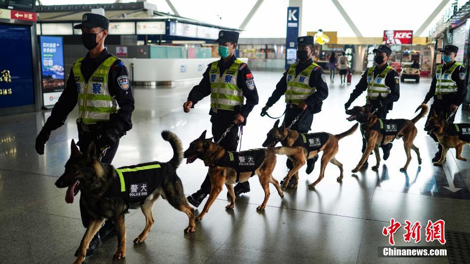 云南昆明警犬队守护机场安全
