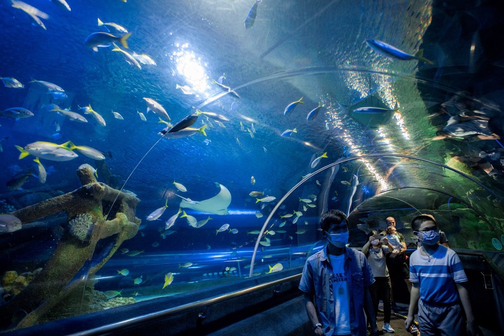 马来西亚吉隆坡水族馆美人鱼表演庆祝世界海洋日