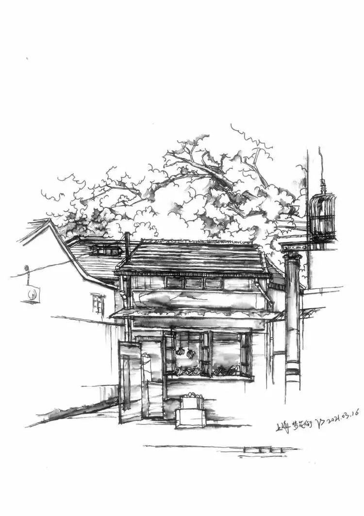 武康路网红蝴蝶结不见了我们却在这里发现正确的打卡方式