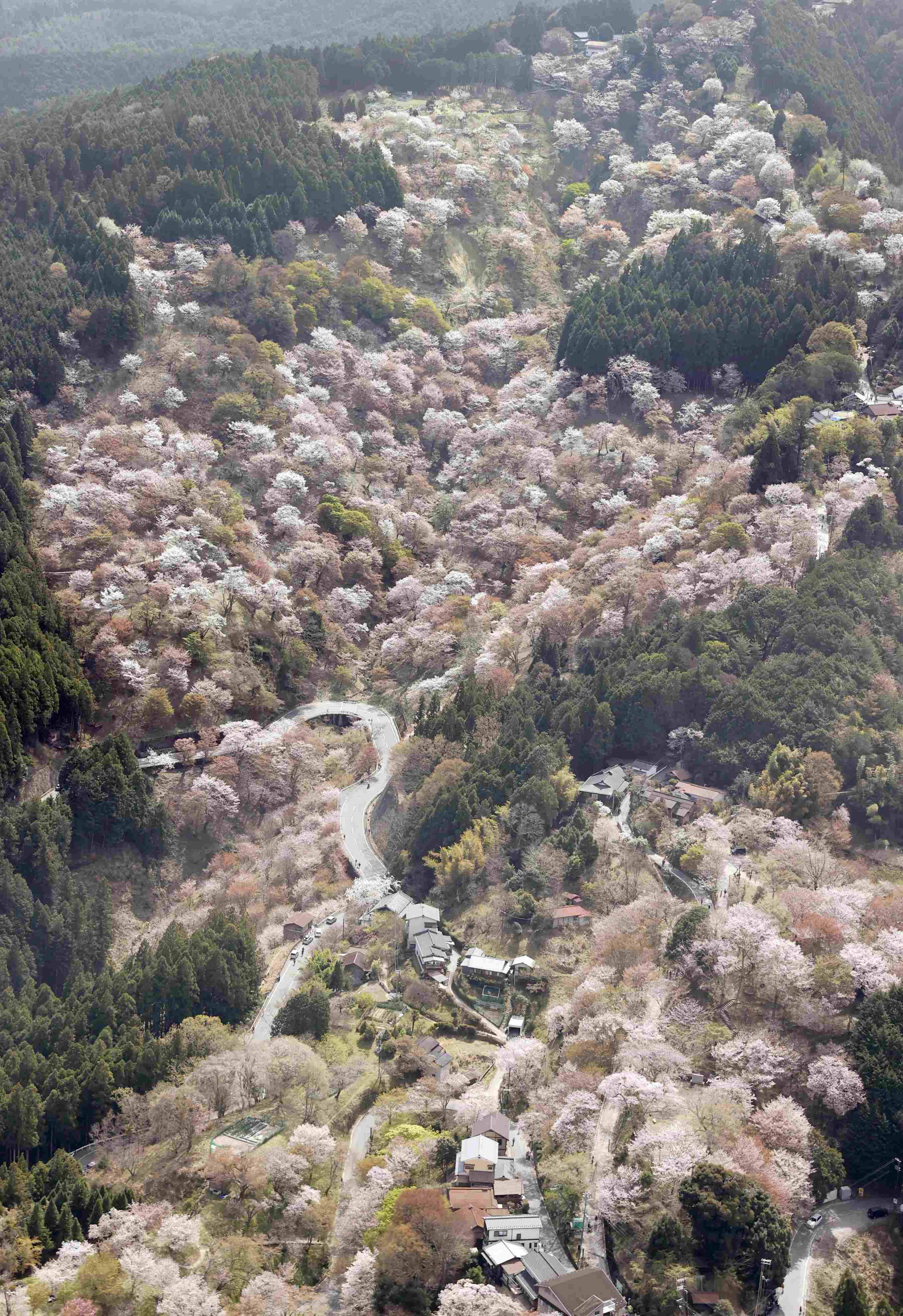 奈良俯瞰图片