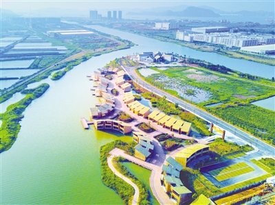 穗丰年湿地公园芳草水寮景观。沙田镇人民政府供图