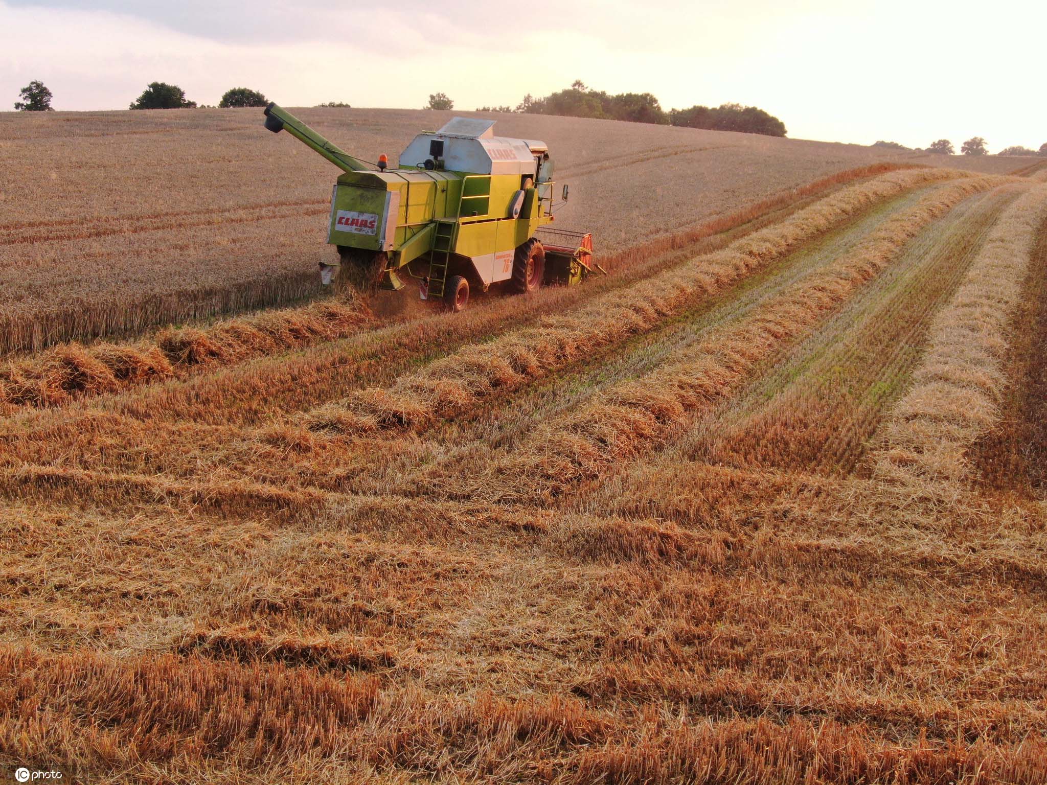 日,德国施托尔曼县,日落时分,丰收时节,农田上的收割机正在收割农作物
