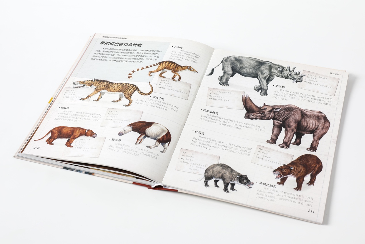 美国国家地理史前动物大百科为孩子打开史前画卷