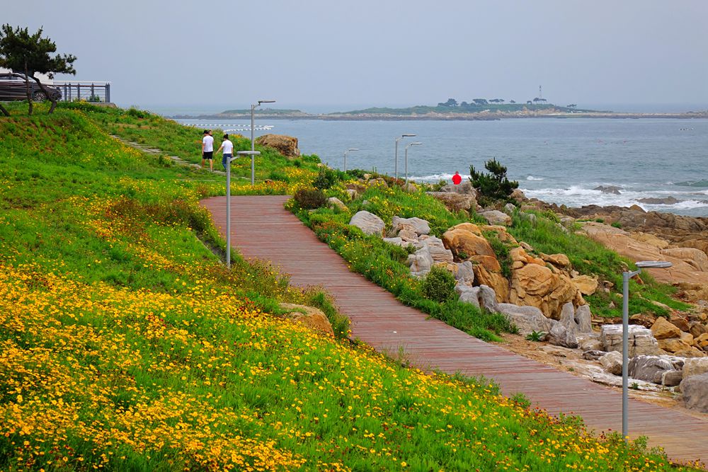 盛夏时节山东青岛海滨美景如画