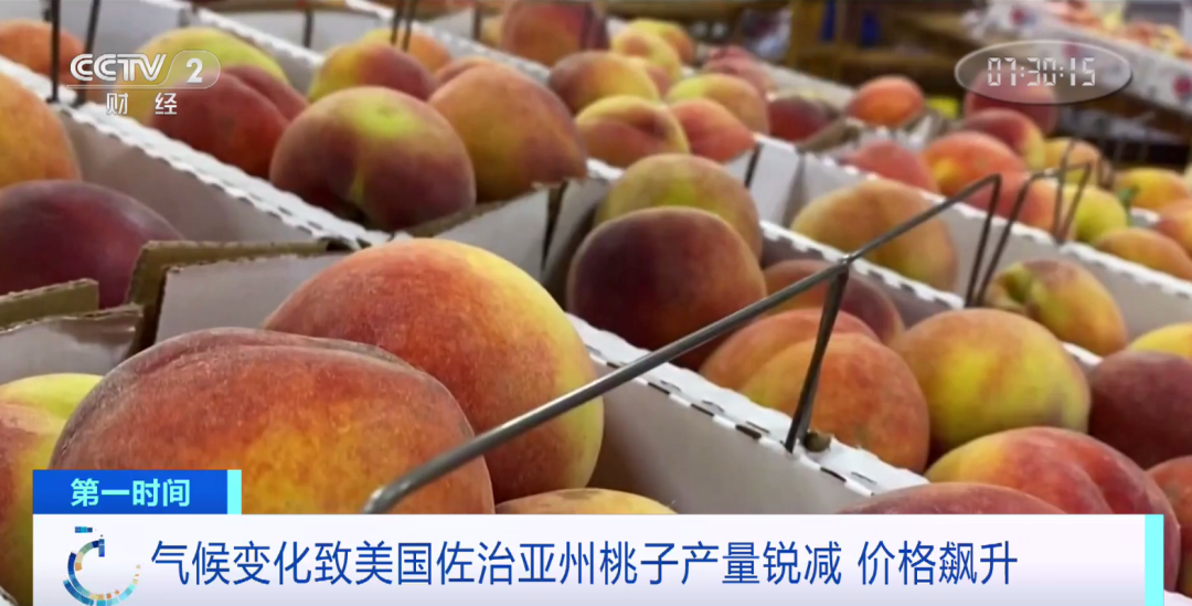 桃子减产90%！美国“桃州”发生了什么？