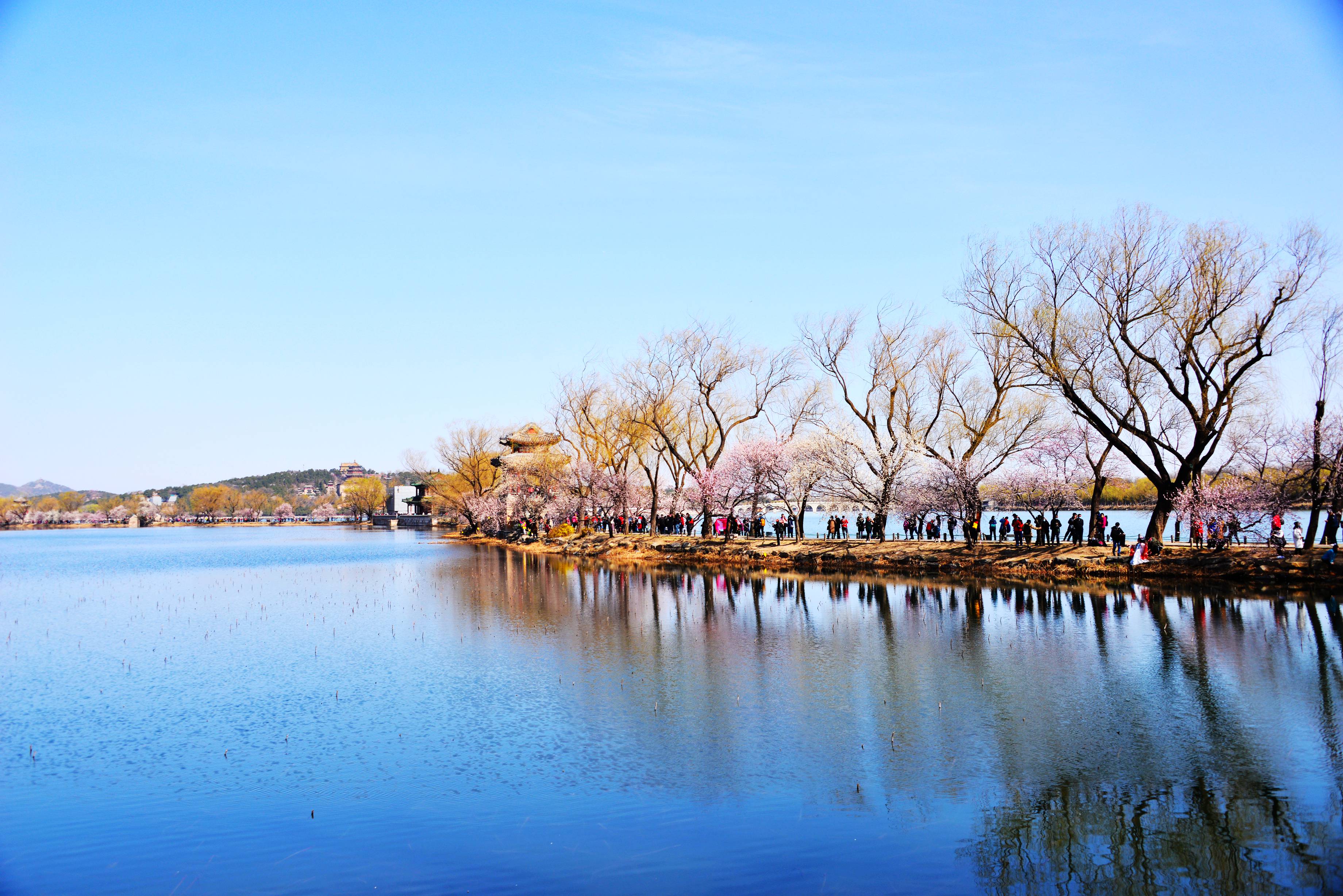 京城沙尘暴过后 颐和园迎最美踏春赏花季