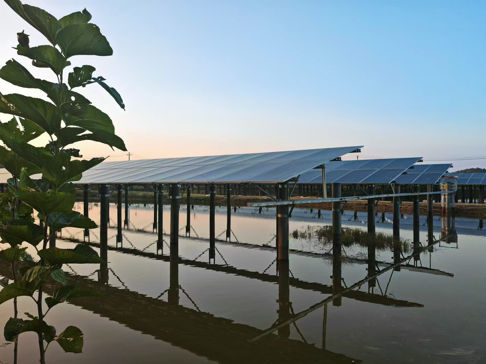 环球网记者郑湘琪/摄