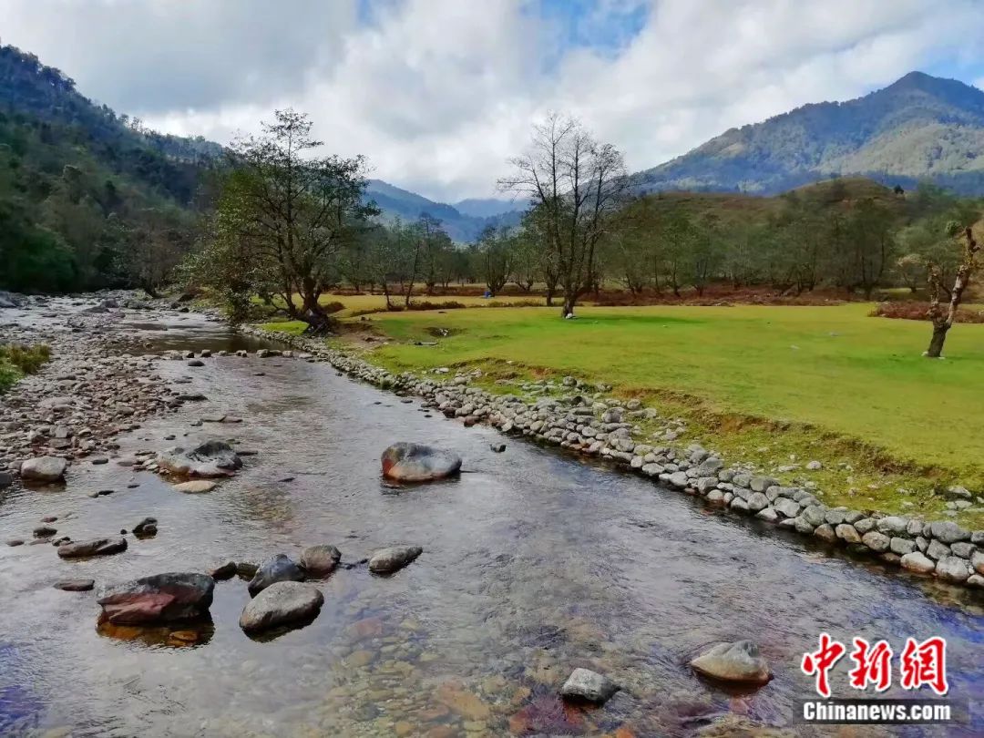 图为坪河草地.