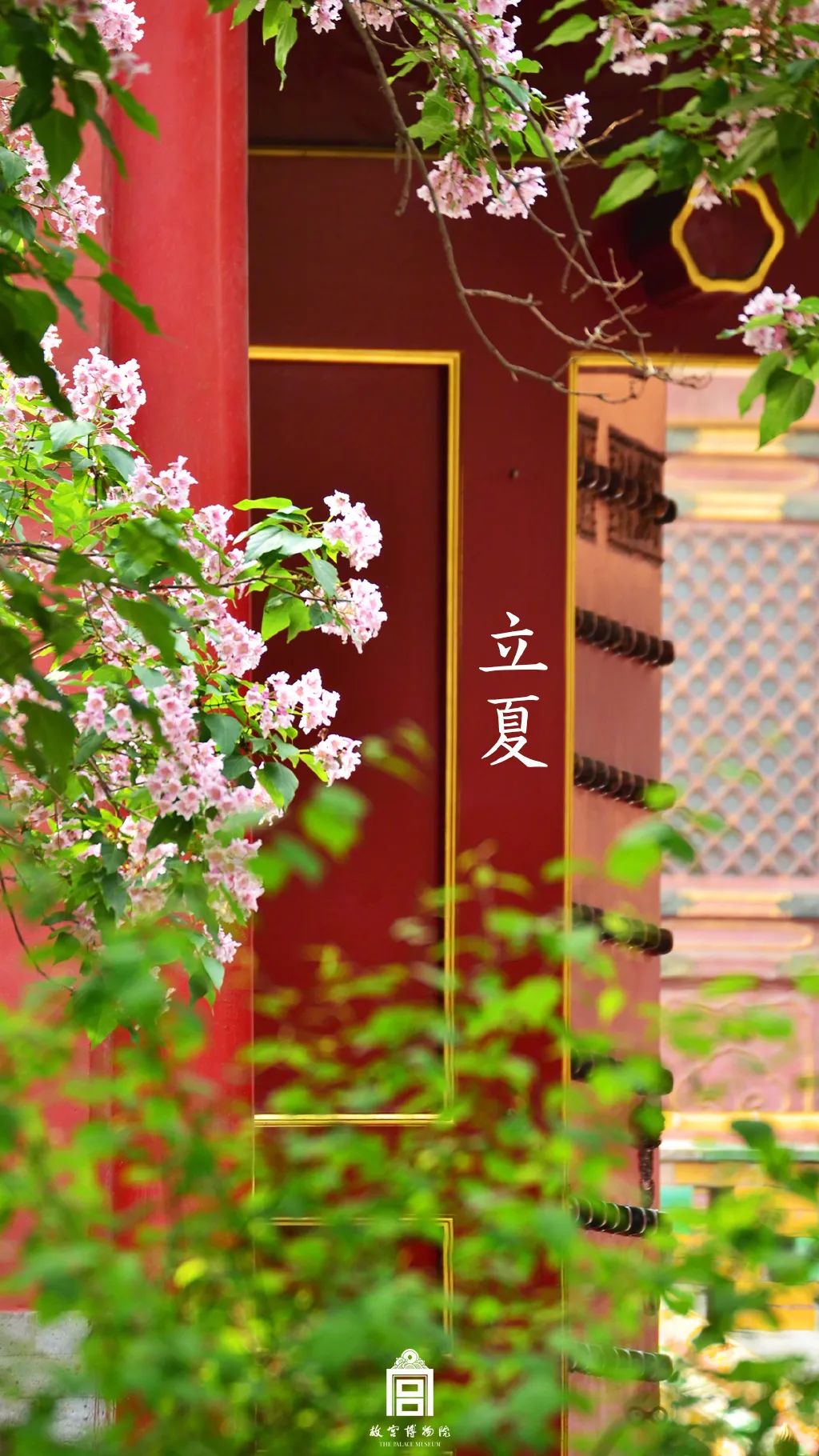 故宫雪景新片来了带你看紫禁城绝美四季