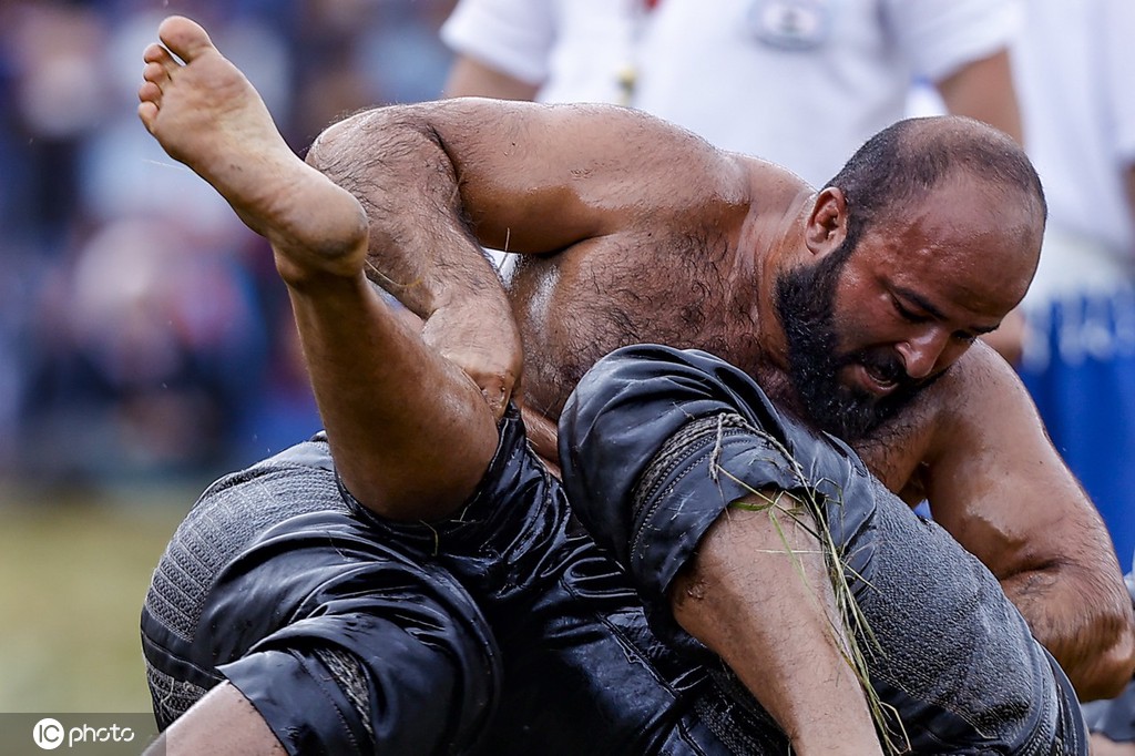 猛男肉搏精彩纷呈土耳其举行橄榄油摔跤赛