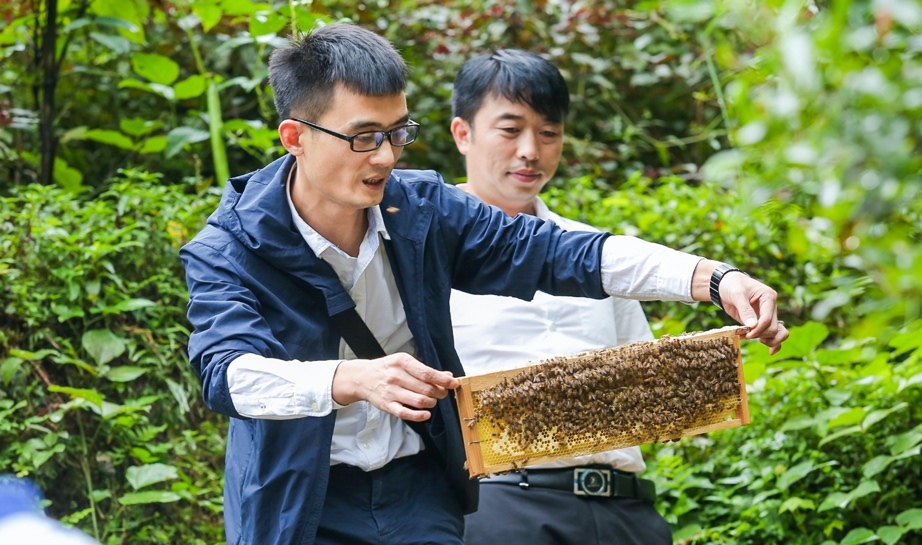 阿里巴巴驻湖南城步“乡村特派员”刘寒在向老乡介绍AI智能养蜂。