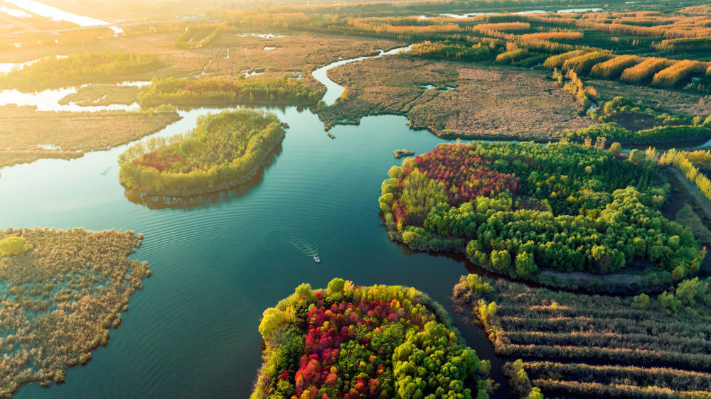 ↑山东省济宁市惠河湿地景色。