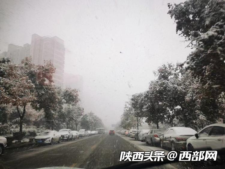 11月11日西安浐河东路 来源：网友 科西嘉嘉