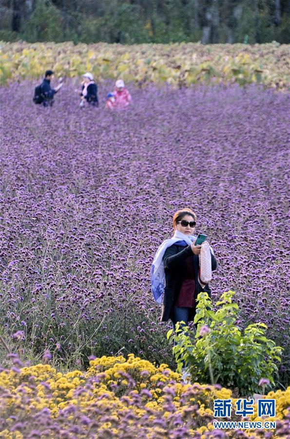 北京延庆 假日忘情山水间