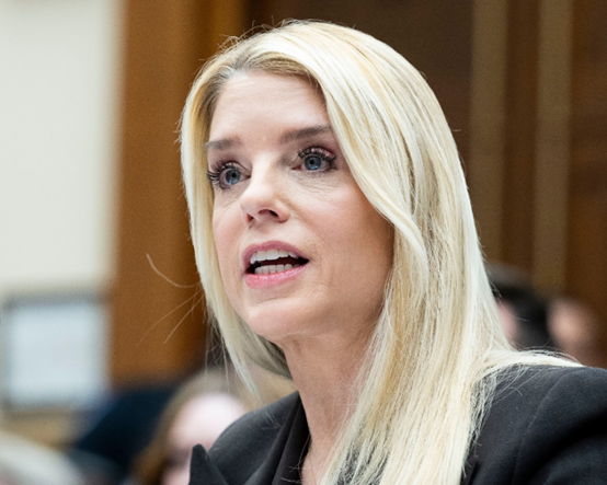 邦迪 资料图 图源:IC photo