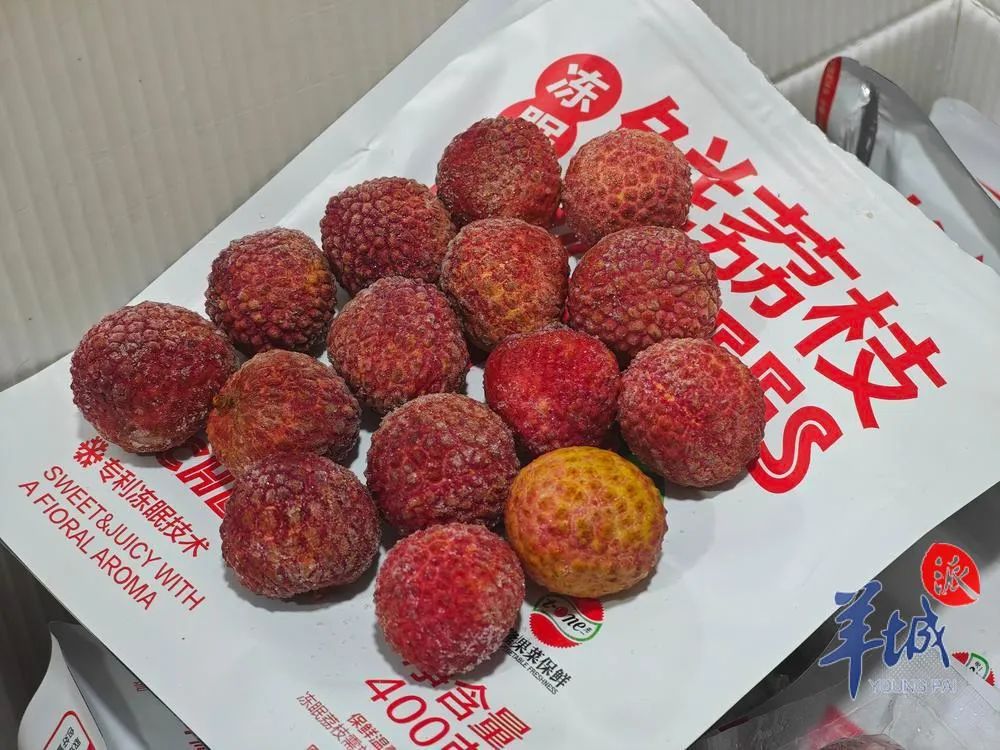 “冻眠”荔枝上热搜!专家:不加防腐剂,解冻后不化水