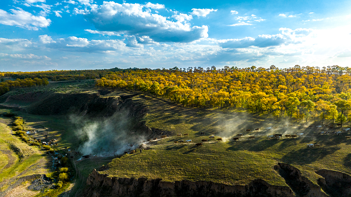 右玉县李达窑乡山区秋景.李日明 摄