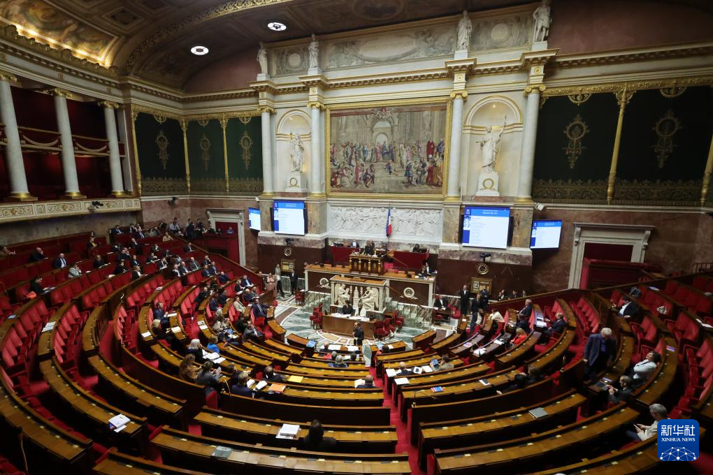 这是1月14日在法国首都巴黎拍摄的国民议会会议现场。新华社发（亨利·施瓦茨摄）