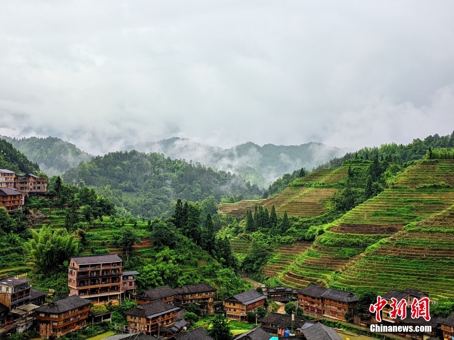图为龙脊梯田雨后初霁，层层叠叠的梯田和错落有致的吊脚楼之间云雾缭绕，美如画卷。