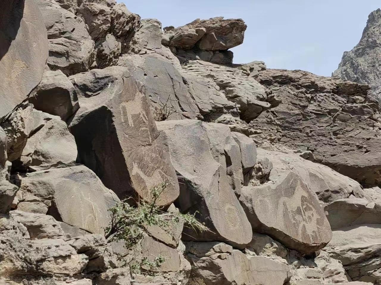 新发现的岩画点。