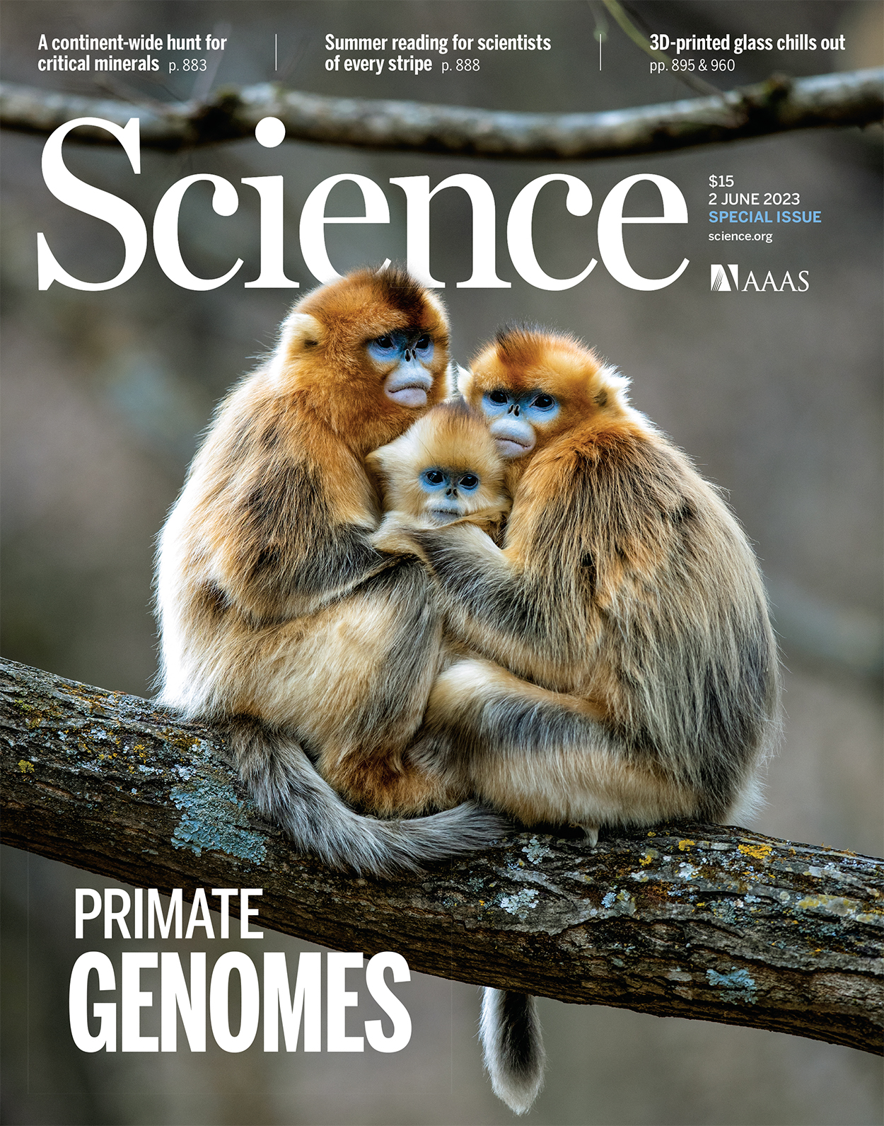 Science 和Nature期刊同时对研究成果作了报道。昆明动物研究所、西北大学研究团队供图