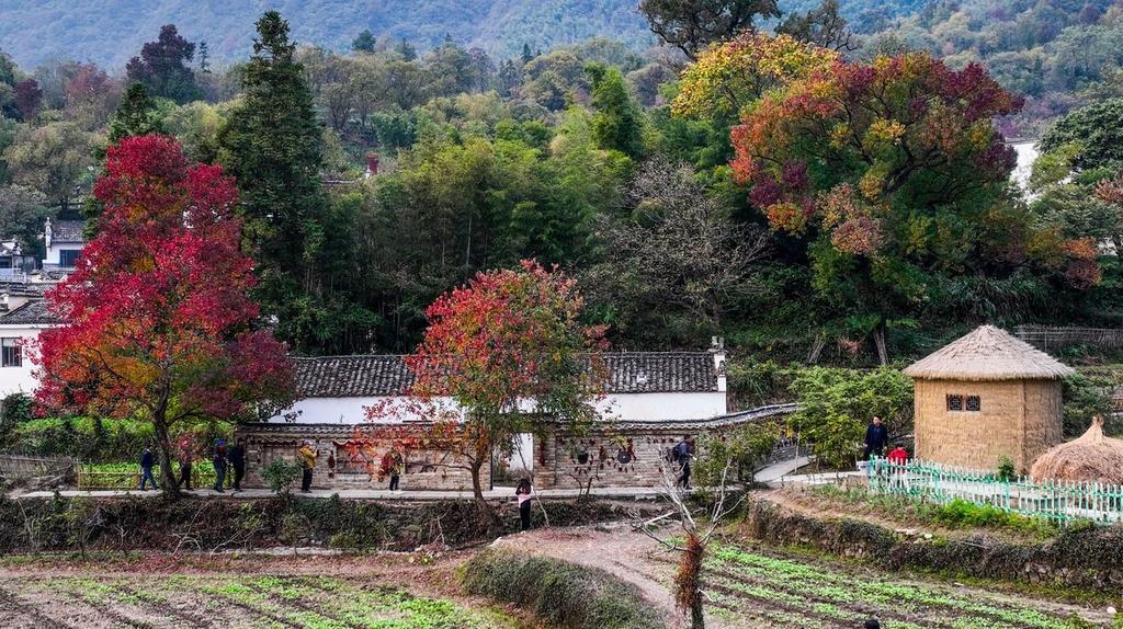 初冬时节 安徽黄山塔川景色美如画