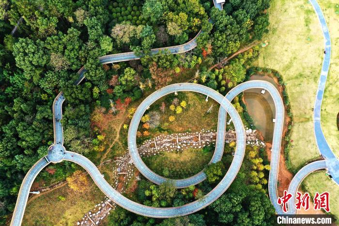 11月19日，航拍位于江西省南昌市湾里管理局的磨盘山森林公园，不少游客行走在森林步道上。 刘占昆 摄