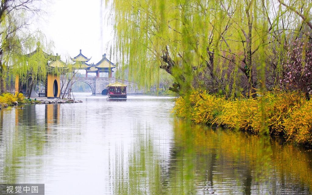 扬州瘦西湖长堤春柳图片