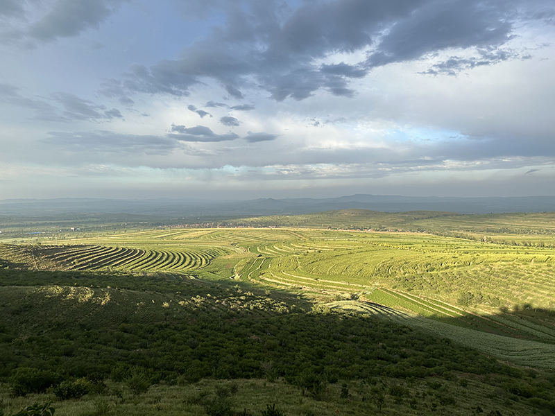 石榴花开籽籽同心看荒山秃岭已变沃野良田