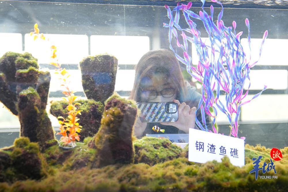 2月24日，湛江市宝钢湛江钢铁有限公司水控中心里展示的钢渣鱼礁
