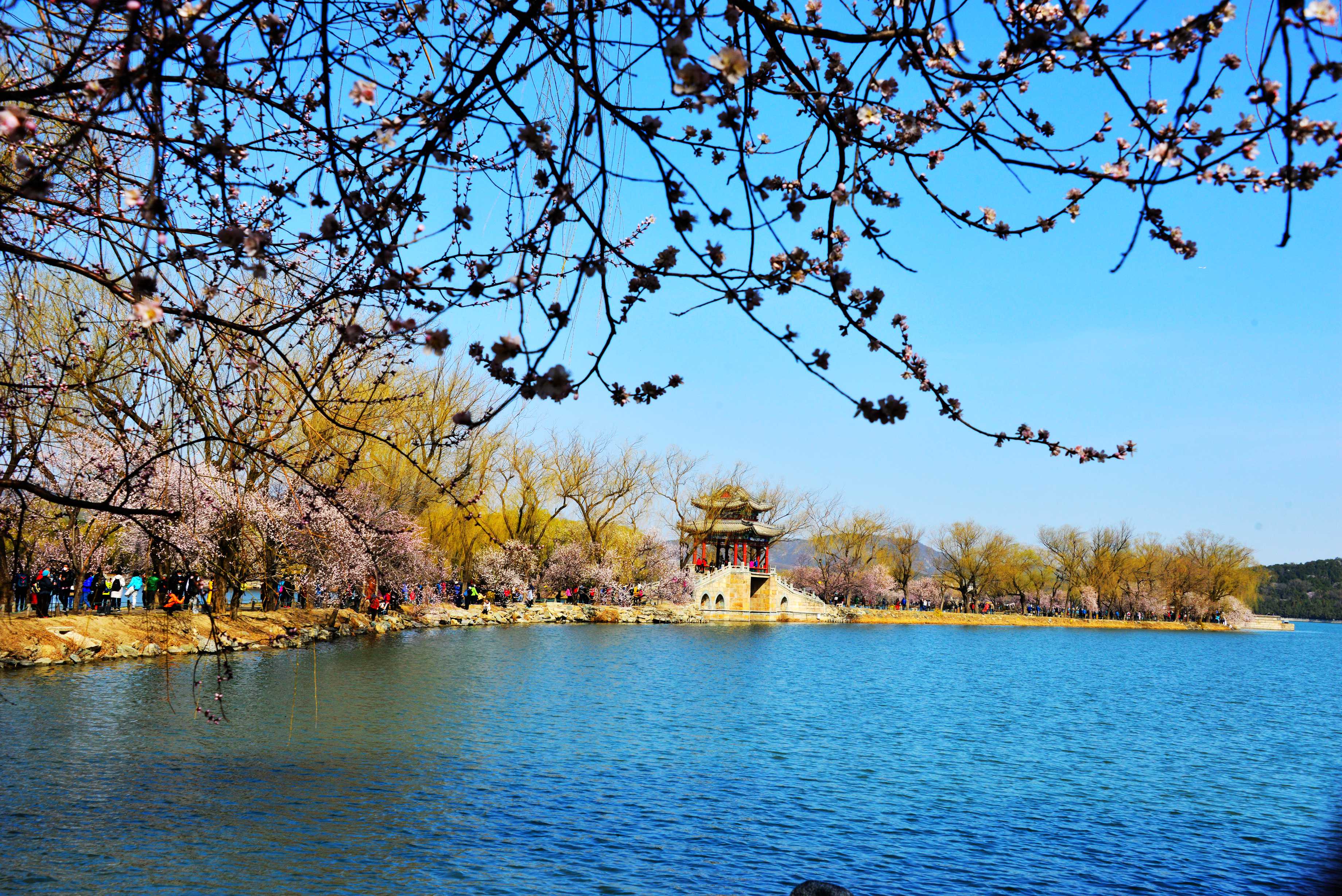 京城沙尘暴过后 颐和园迎最美踏春赏花季