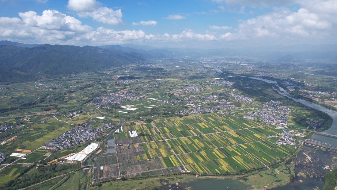 浙江省松阳松古灌区。受访者供图