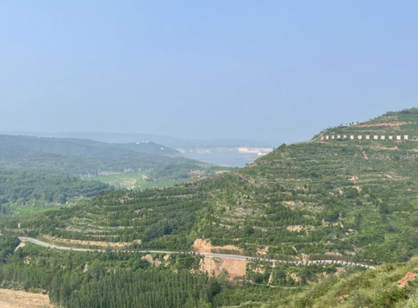 (沿黄生态廊道 图/环球网记者 张寒玥 摄)