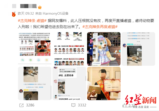 网友爆料称徐志辉再度开直播虐猫
