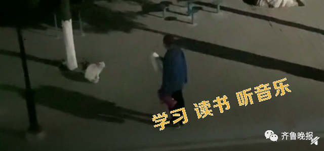 笑喷!高校猫咪遭大爷“训话”:学习读书,还要有礼貌!
